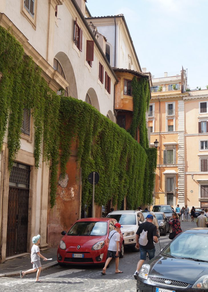 В качестве украшений окон в Риме используют свисающие лианы